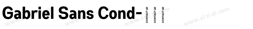 Gabriel Sans Cond字体转换